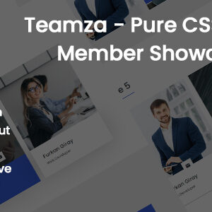 Teamza - Pure CSS Team Member Showcase